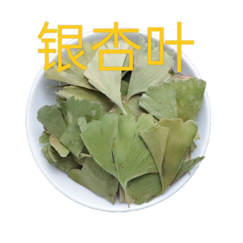 中药材银杏叶粉干白果叶子银杏叶茶新货干银杏叶