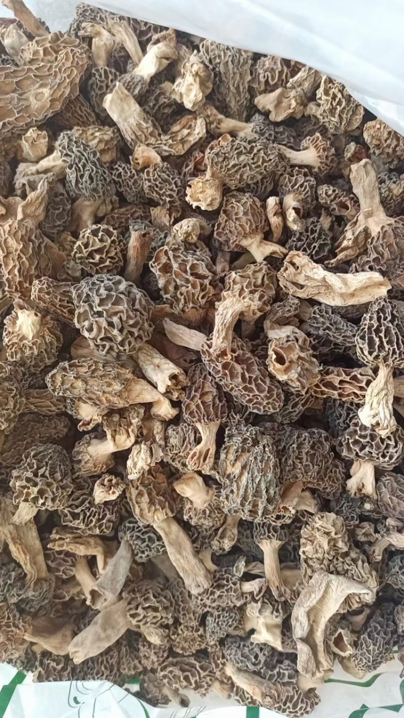 新货纯野生羊肚菌干货深山自采羊肚蘑菇煲汤食材食用菌