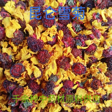 雪菊，中药材昆仑雪菊花茶新货长年经营各种中药材花茶