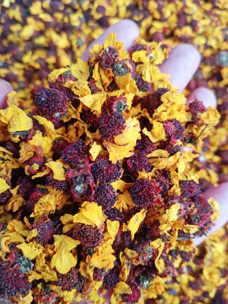 雪菊，中药材昆仑雪菊花茶新货长年经营各种中药材花茶