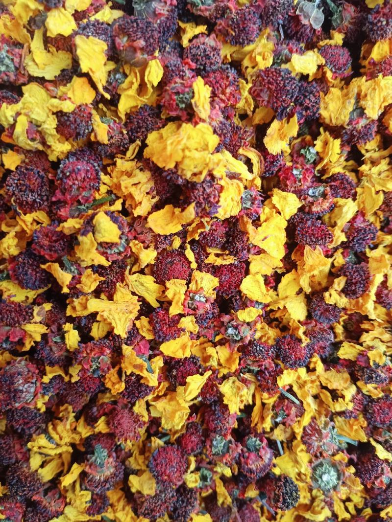 雪菊，中药材昆仑雪菊花茶新货长年经营各种中药材花茶