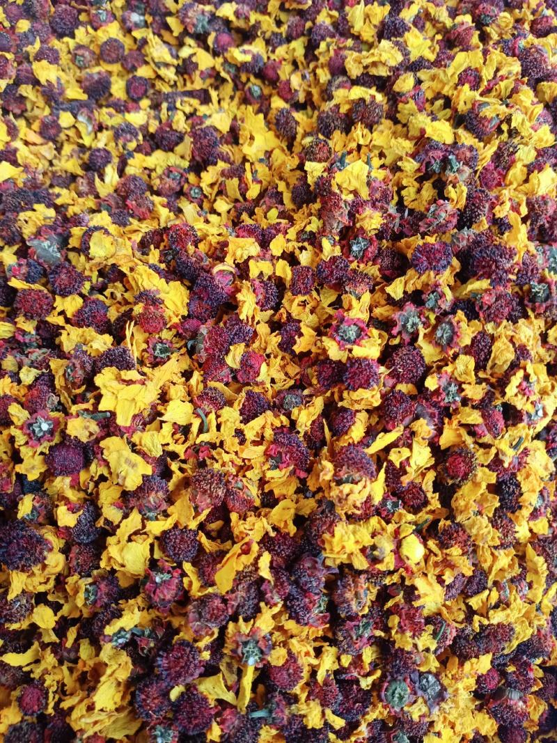 雪菊，中药材昆仑雪菊花茶新货长年经营各种中药材花茶