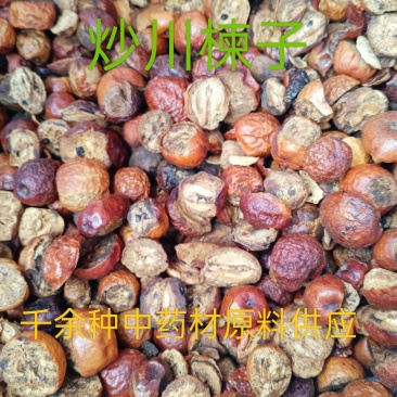 川楝子，炒川楝子中药材楝树果质量保证！经营各种中药材