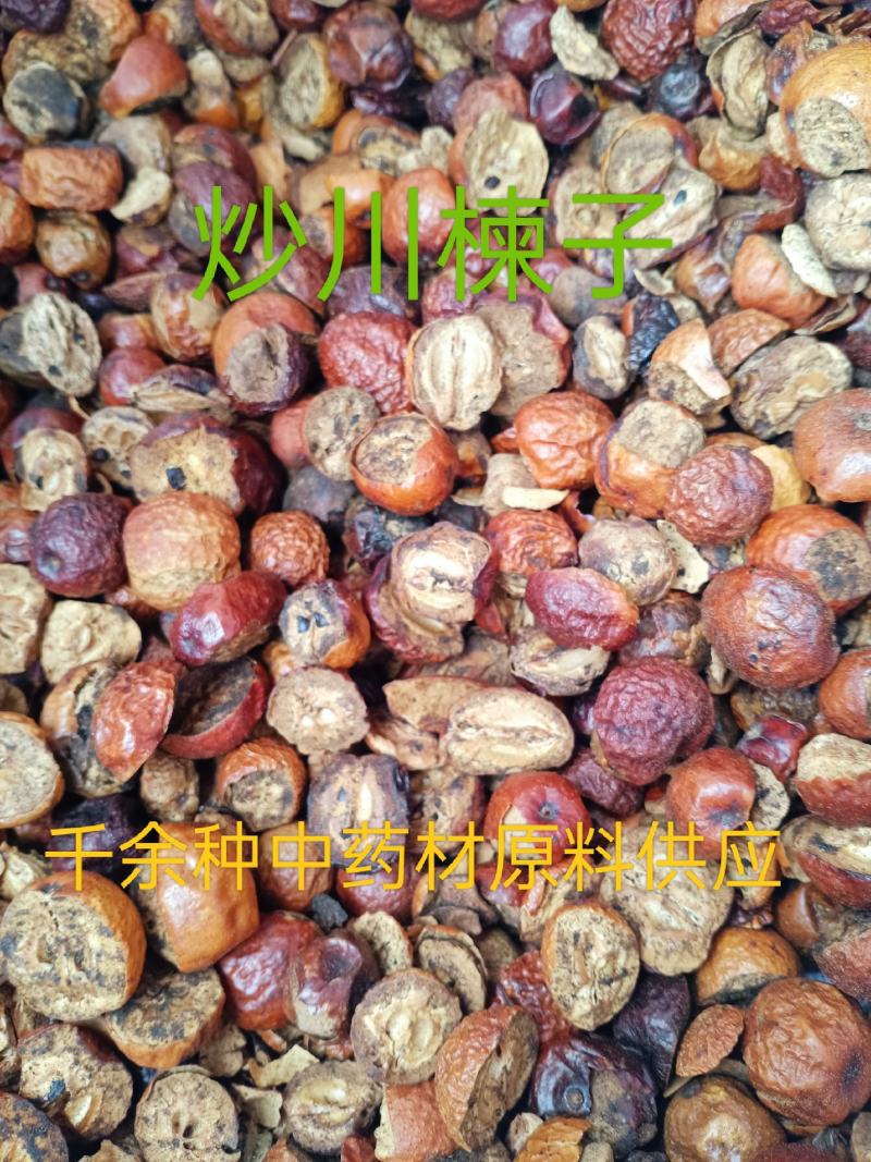 川楝子，炒川楝子中药材楝树果质量保证！经营各种中药材