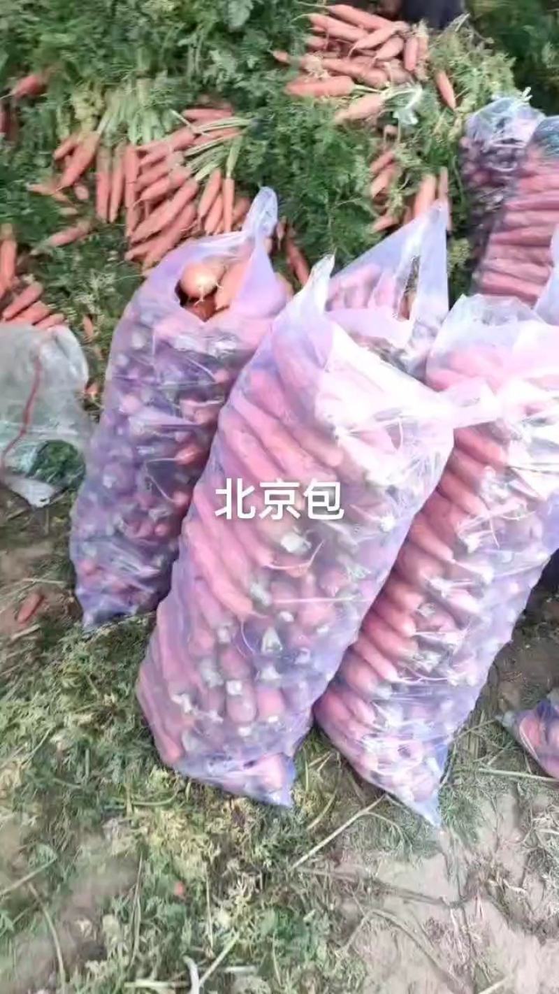 胡萝卜