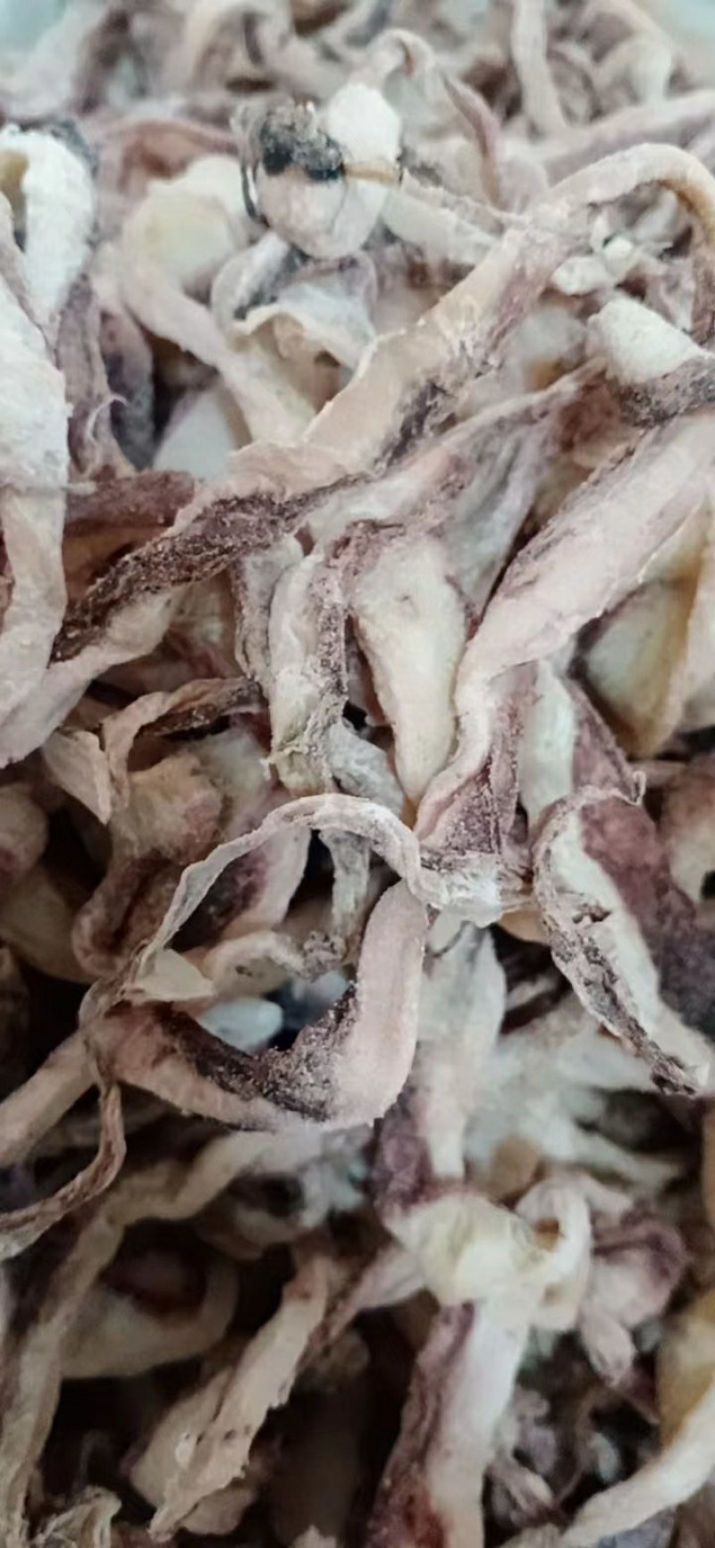 鱿鱼条鱿鱼干边角料，鱿鱼条，食堂饭店地摊好食材，利润可观