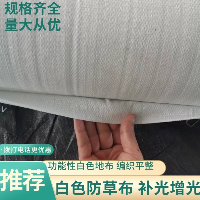白色防草布多功能白色地布规格齐全补光增光