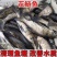 花鲢鱼苗大头鱼苗，胖头鱼苗，塘口直发免费技术指导