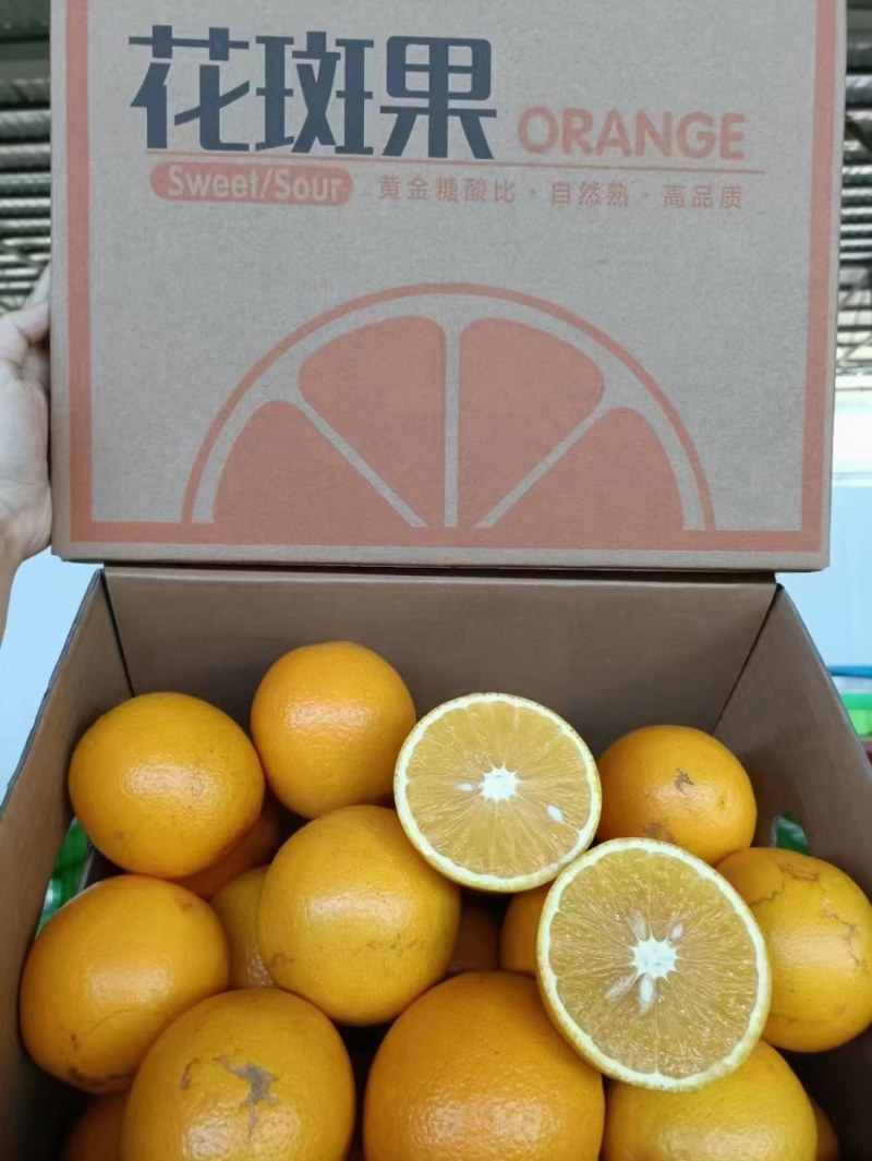 褚橙花斑果褚橙花斑果一件代发整车发货社区团购电商