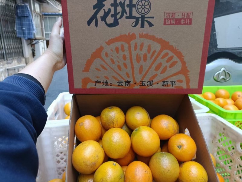 褚橙花斑果褚橙花斑果一件代发整车发货社区团购电商