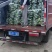 水果萝卜上市中