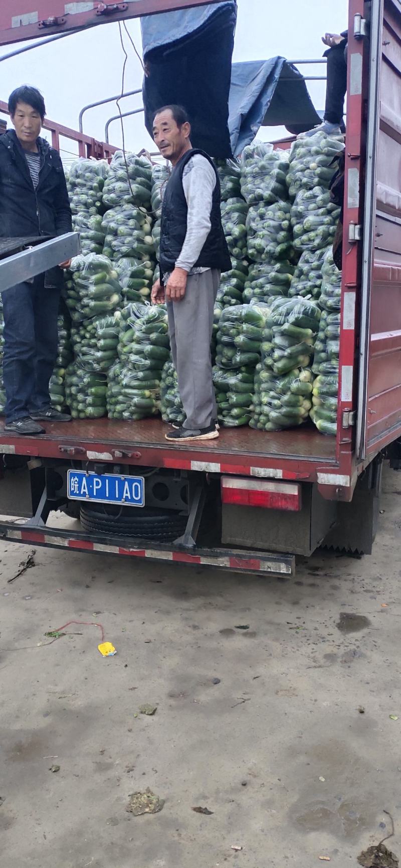 水果萝卜上市中