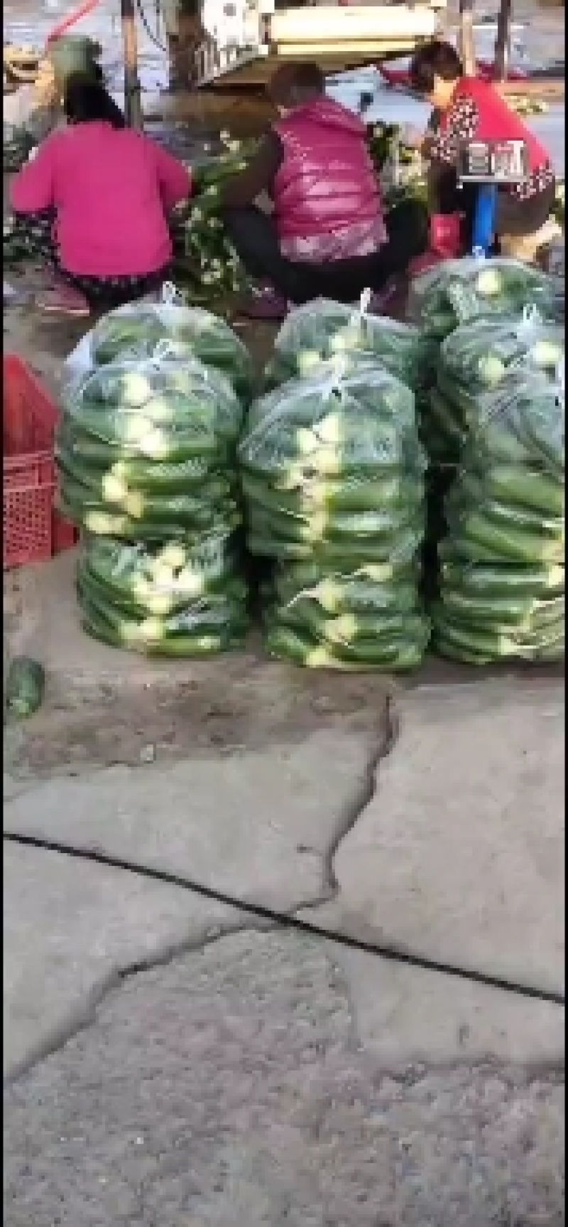 水果萝卜上市中