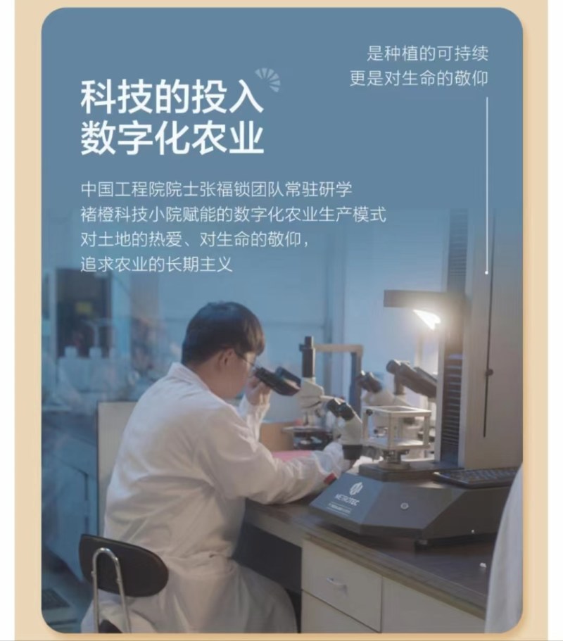 褚橙一件代发电商一件代发落地配社区团购