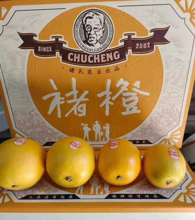 褚橙一件代发电商一件代发落地配社区团购