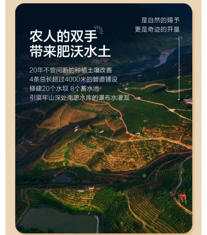 褚橙一件代发电商一件代发落地配社区团购