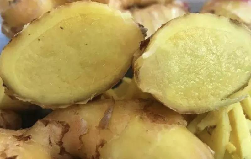 【代收代存】山东小黄姜精品生姜鲜姜上市量大从优对接全国