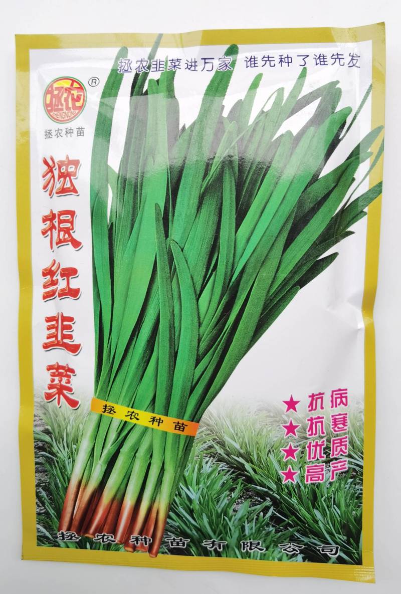 独根红韭菜种子红根韭菜种子耐寒耐热高产抗病