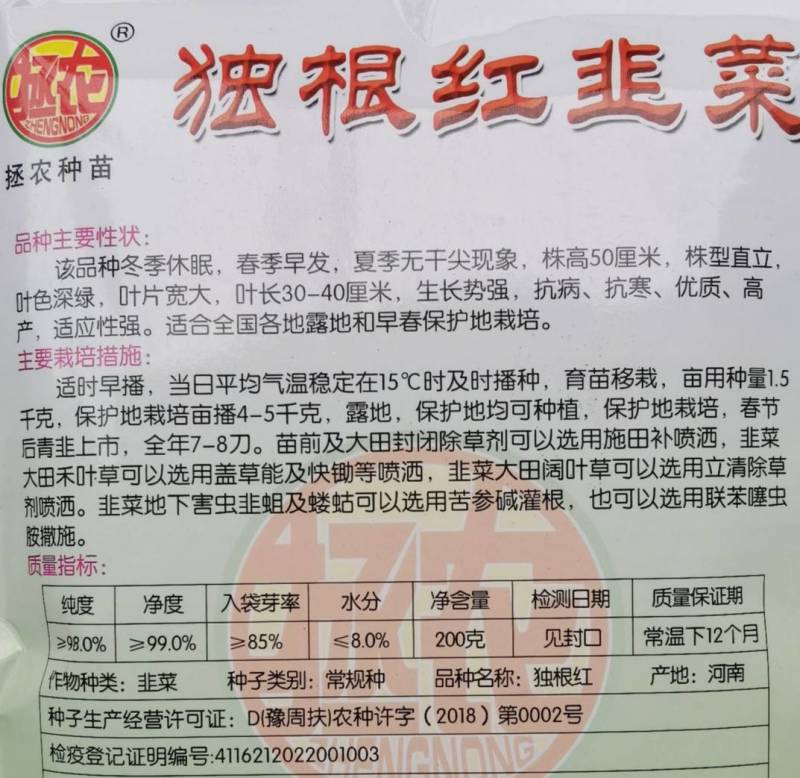 独根红韭菜种子红根韭菜种子耐寒耐热高产抗病