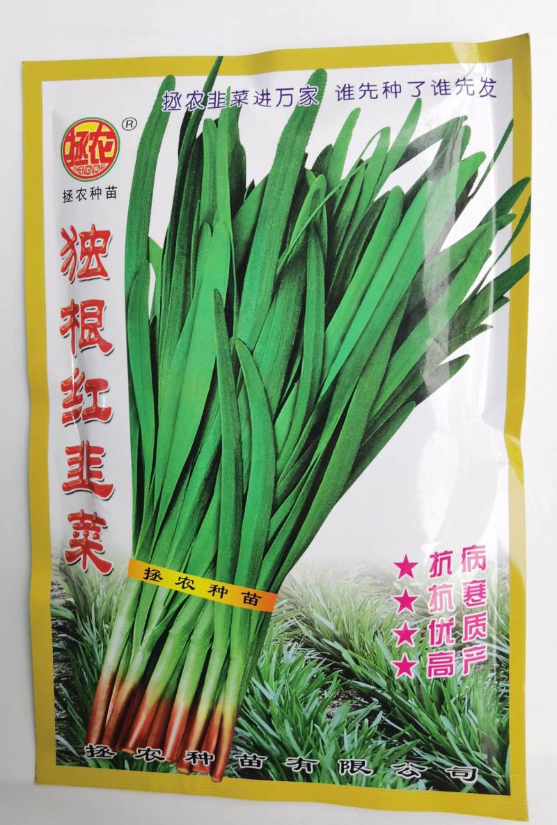 独根红韭菜种子红根韭菜种子耐寒耐热高产抗病