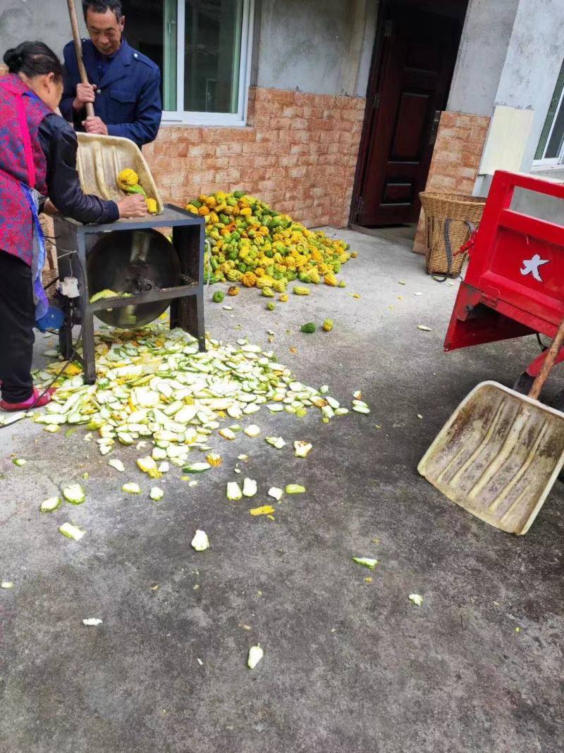 佛手柑干片