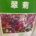 翠菊种子重瓣翠菊花种子籽保您满意视频看货诚信为本欢迎来电