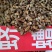 蛴螬，抓方咨询，中药材蛴螬，基地直发，一手货源量大从优，