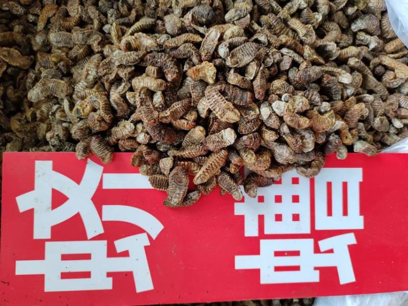 蛴螬，抓方咨询，中药材蛴螬，基地直发，一手货源量大从优，