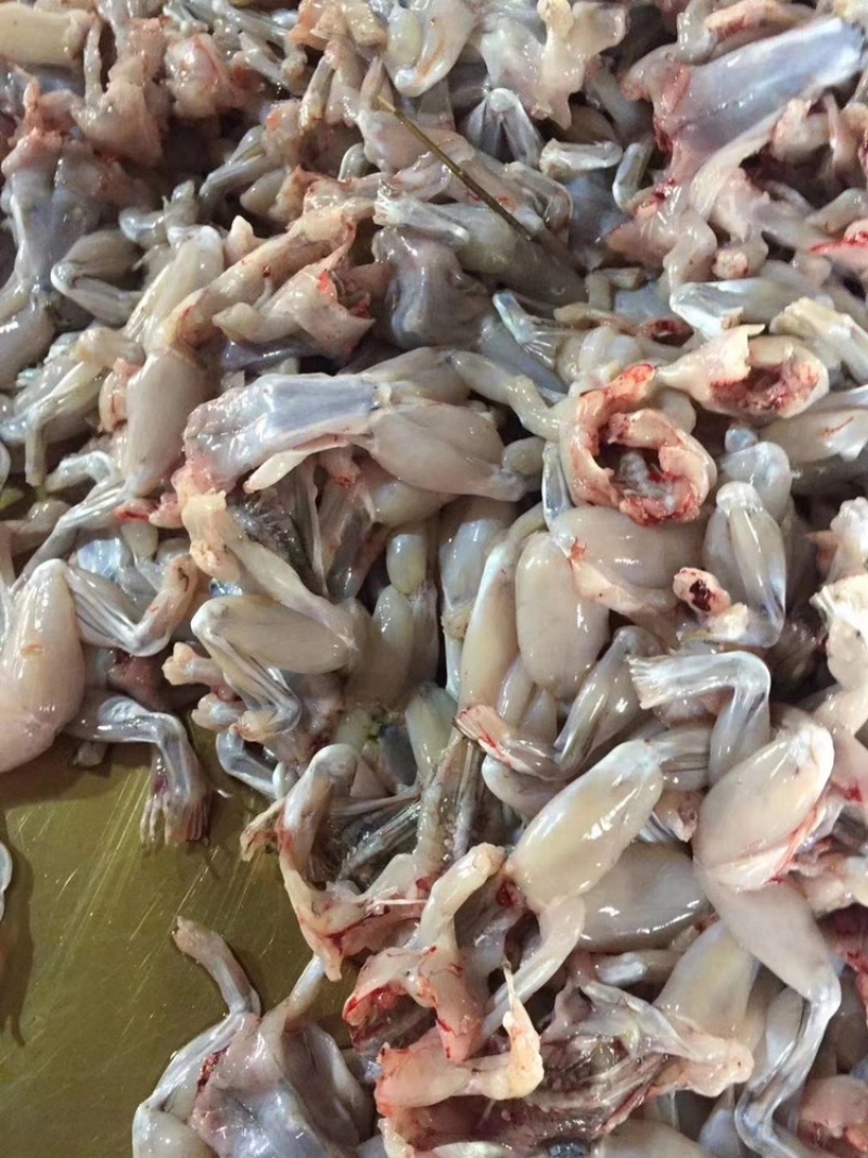牛蛙肉广州深圳东莞佛山南海禅城支持冷藏车送到店