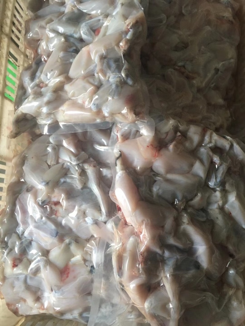 牛蛙肉广州深圳东莞佛山南海禅城支持冷藏车送到店