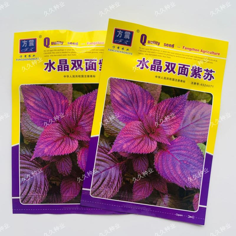水晶双面紫苏种子可食用紫苏全籽四季苏子蔬菜盆栽香草籽