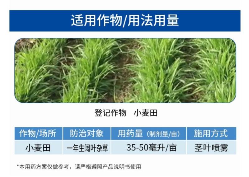 氯氟吡氧乙酸小麦除草剂小麦田阔叶杂草