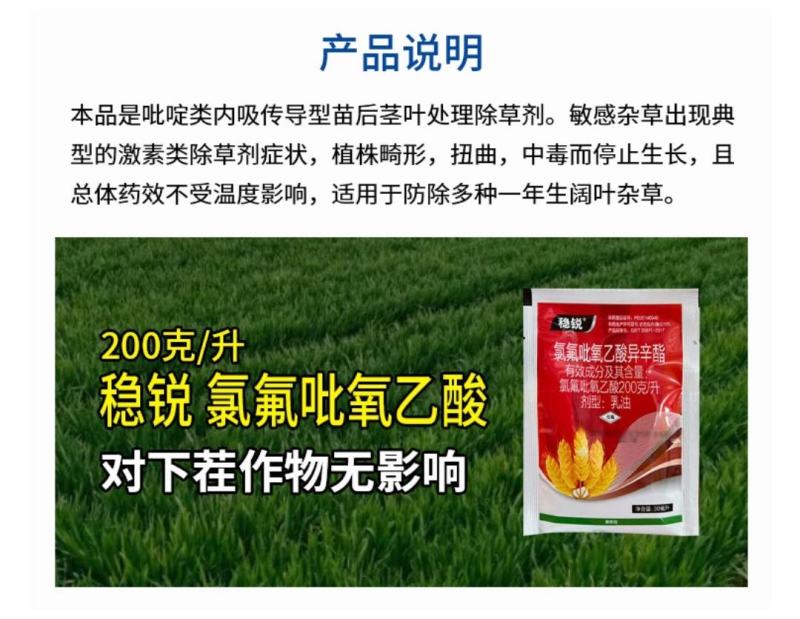 氯氟吡氧乙酸小麦除草剂小麦田阔叶杂草