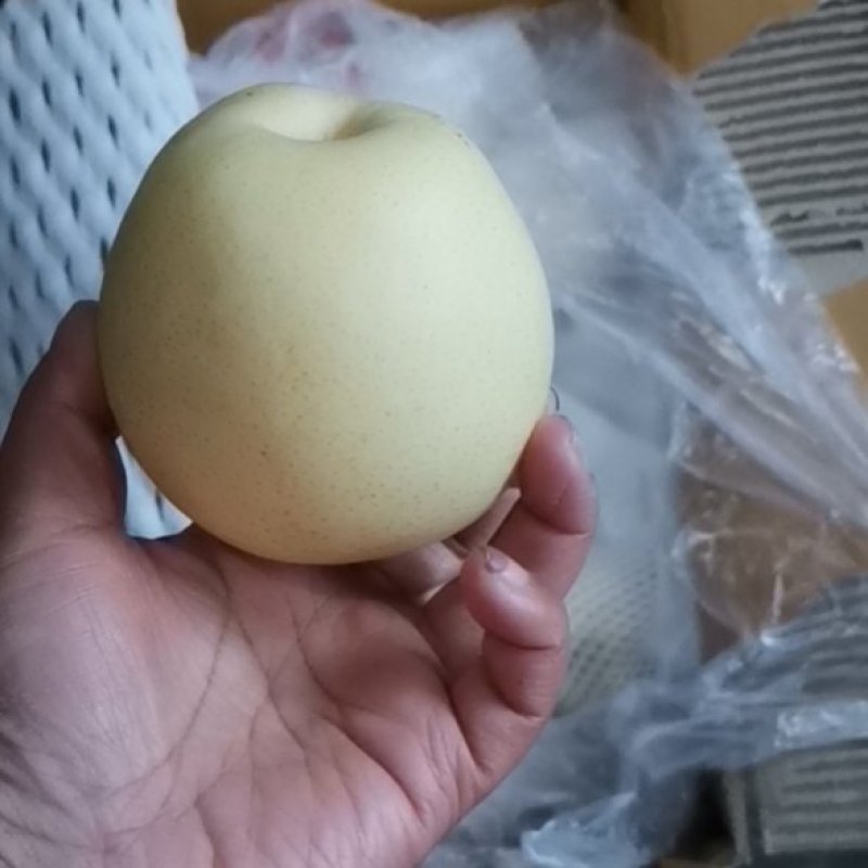 皇冠梨