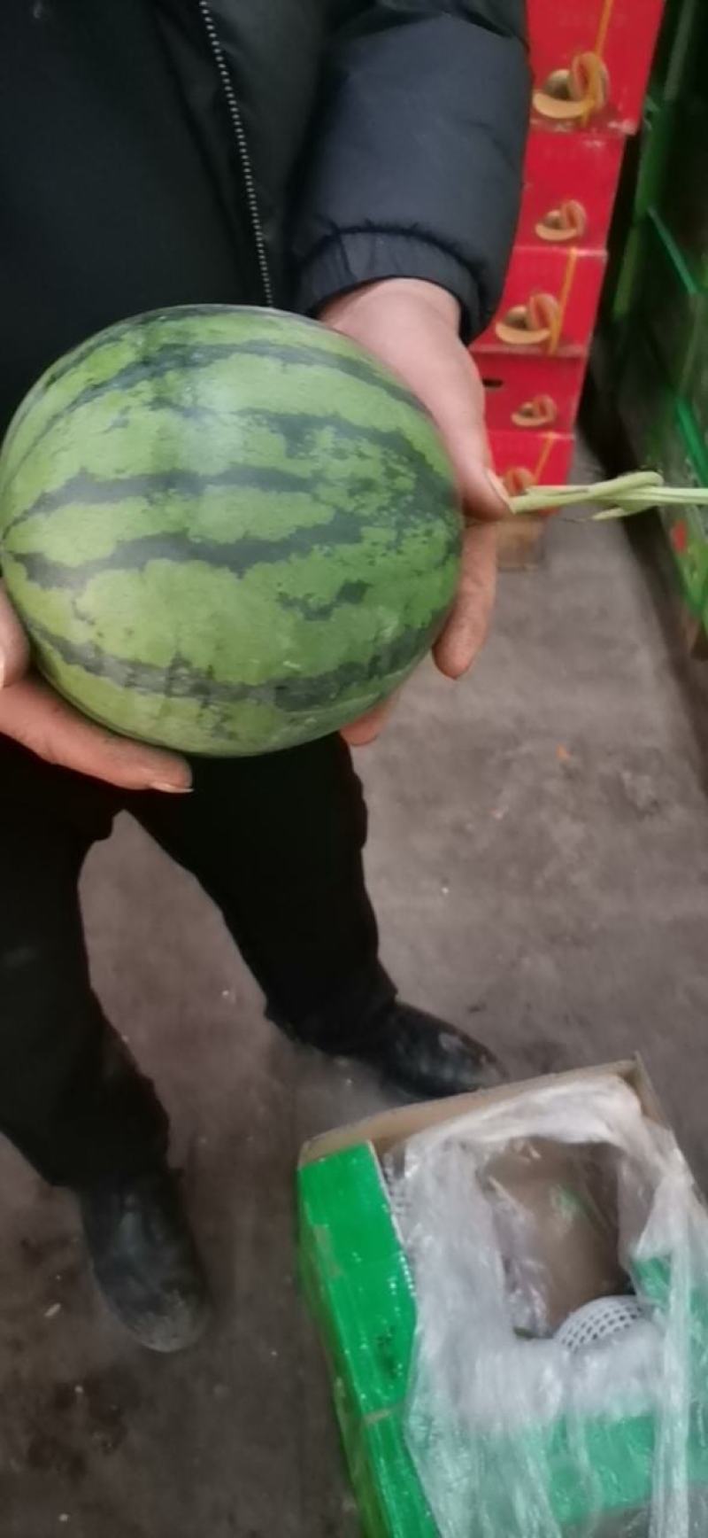 大量供应各种西瓜