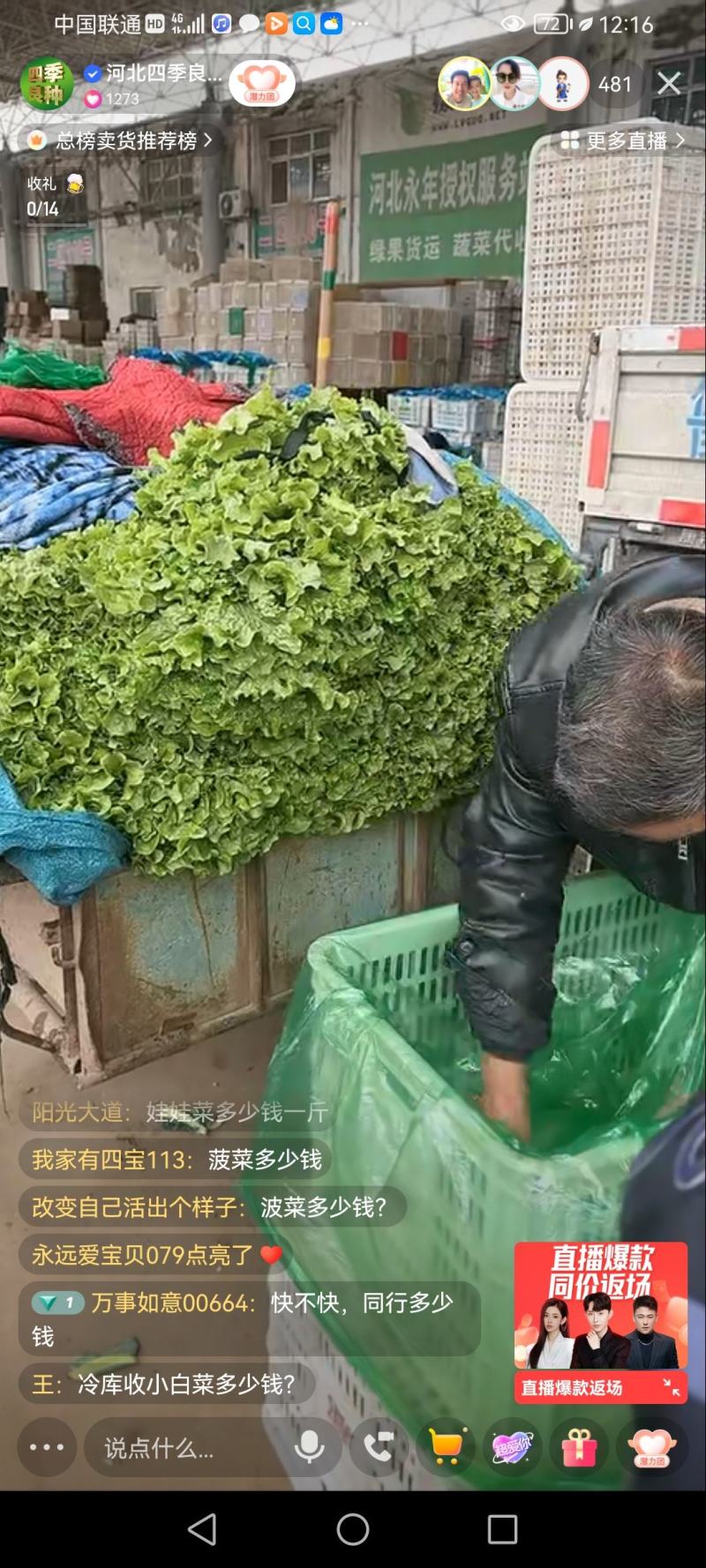 河北邯郸散叶生菜，大量上市中，欢迎下单，价格优惠