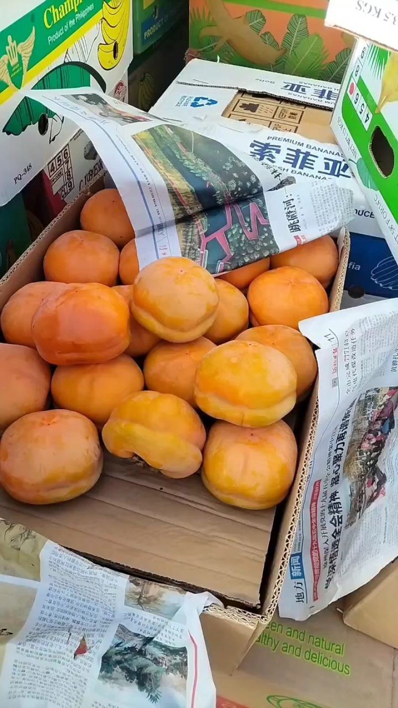 箱装柿子连皮走，果面干净果霜全在，三平大柿子