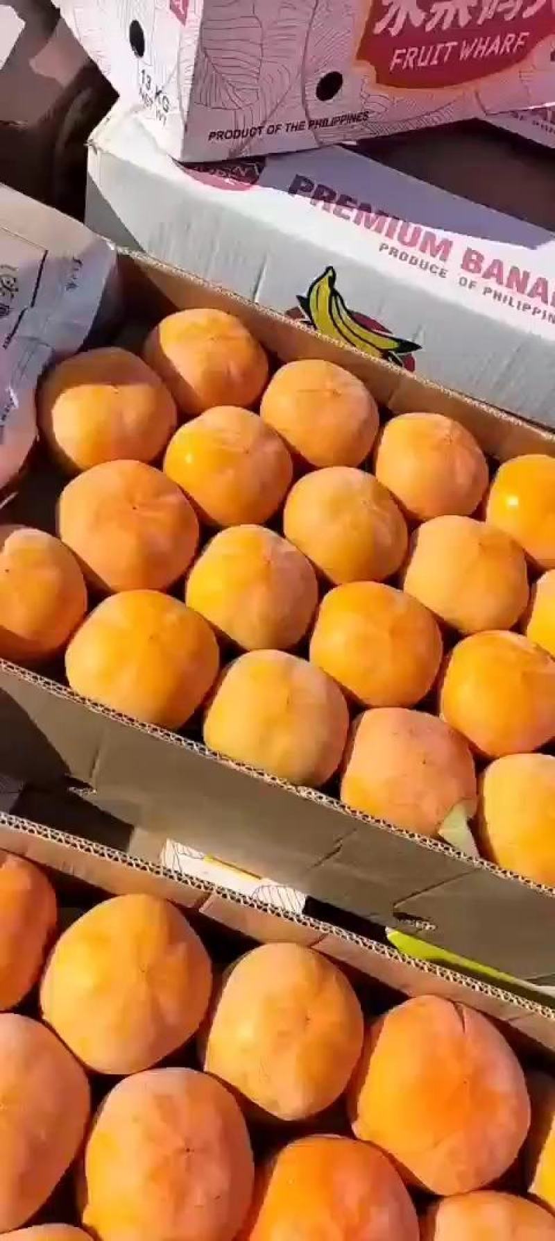箱装柿子连皮走，果面干净果霜全在，三平大柿子