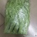 芦蒿批发销售