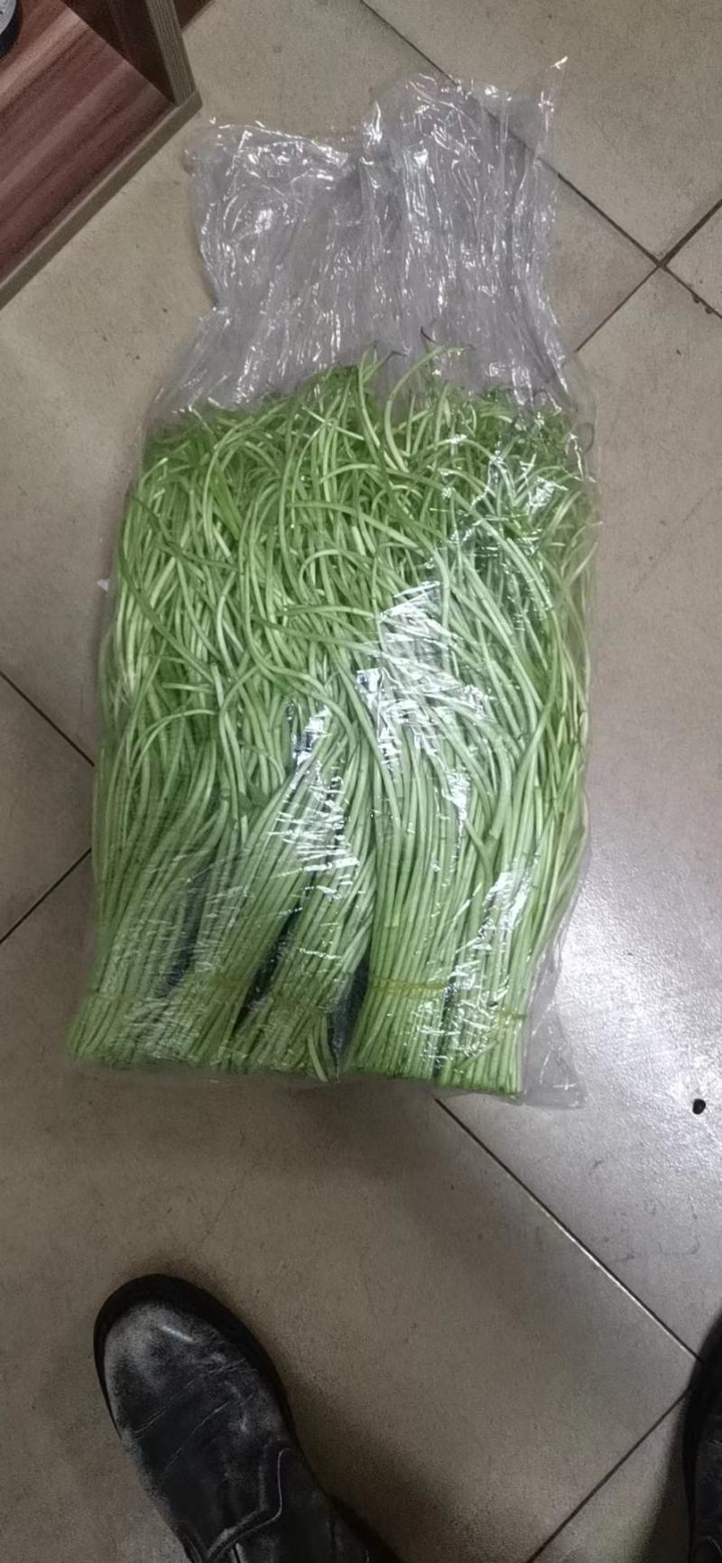 芦蒿批发销售