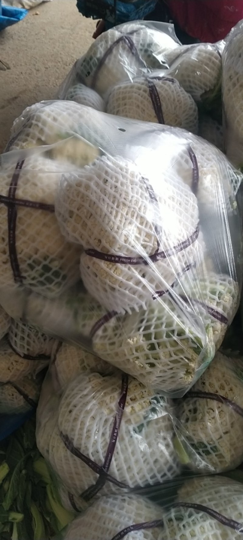 有机花菜，温室大棚种植雪白有机花菜，白面青梗