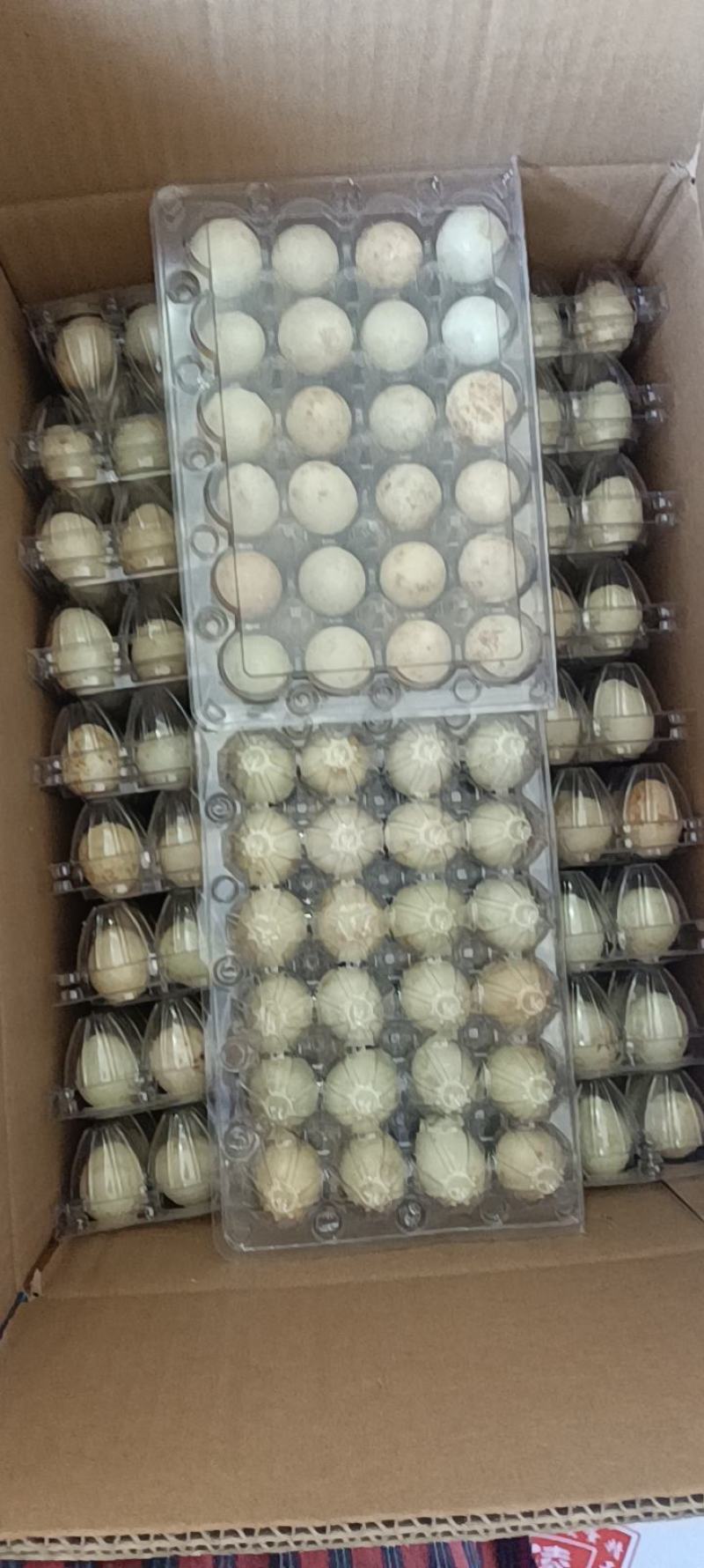 鹌鹑小皮蛋24枚装30盒溏心无铅松花鸟皮蛋