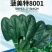 高端进口春秋一代杂交菠菜8001黑叶抗病