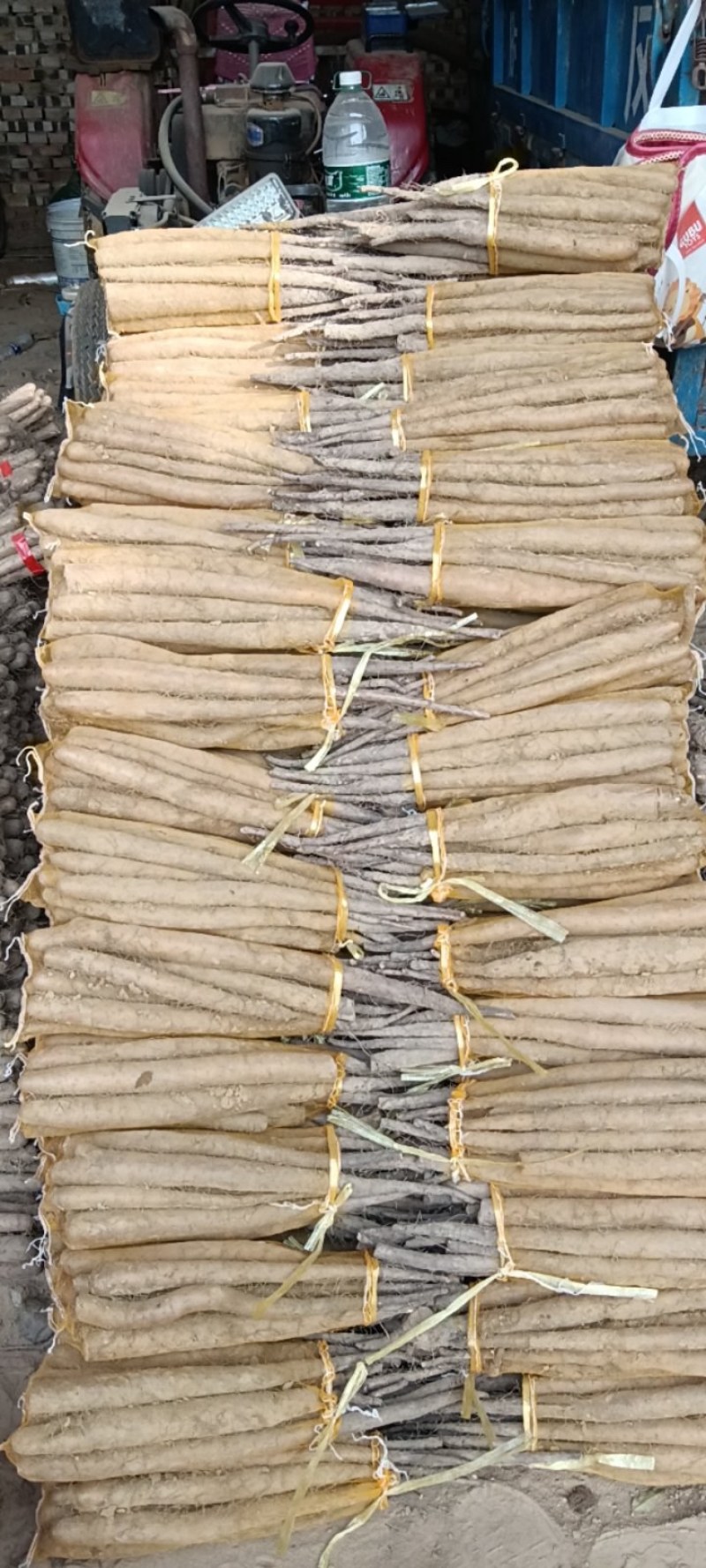 精品网袋山药