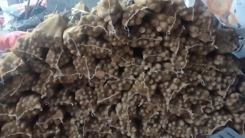 精品网袋山药