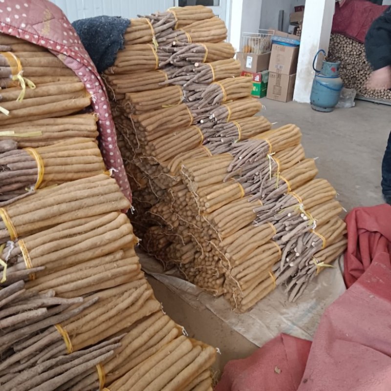 精品网袋山药