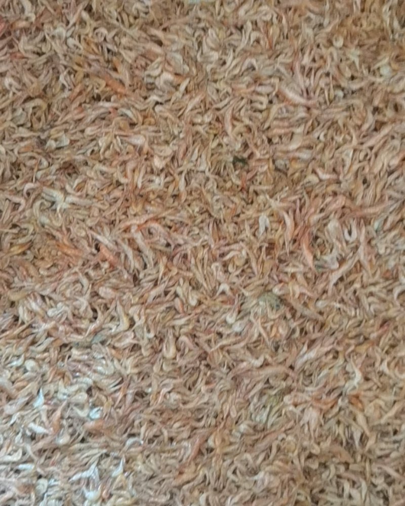 干虾，干鱼