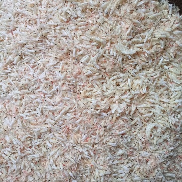 烘干碎虾，淡干，现货批发量大从优一手货源
