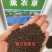 薰衣草花种子多年生耐寒易活花种籽视频看货诚信为本等您来电