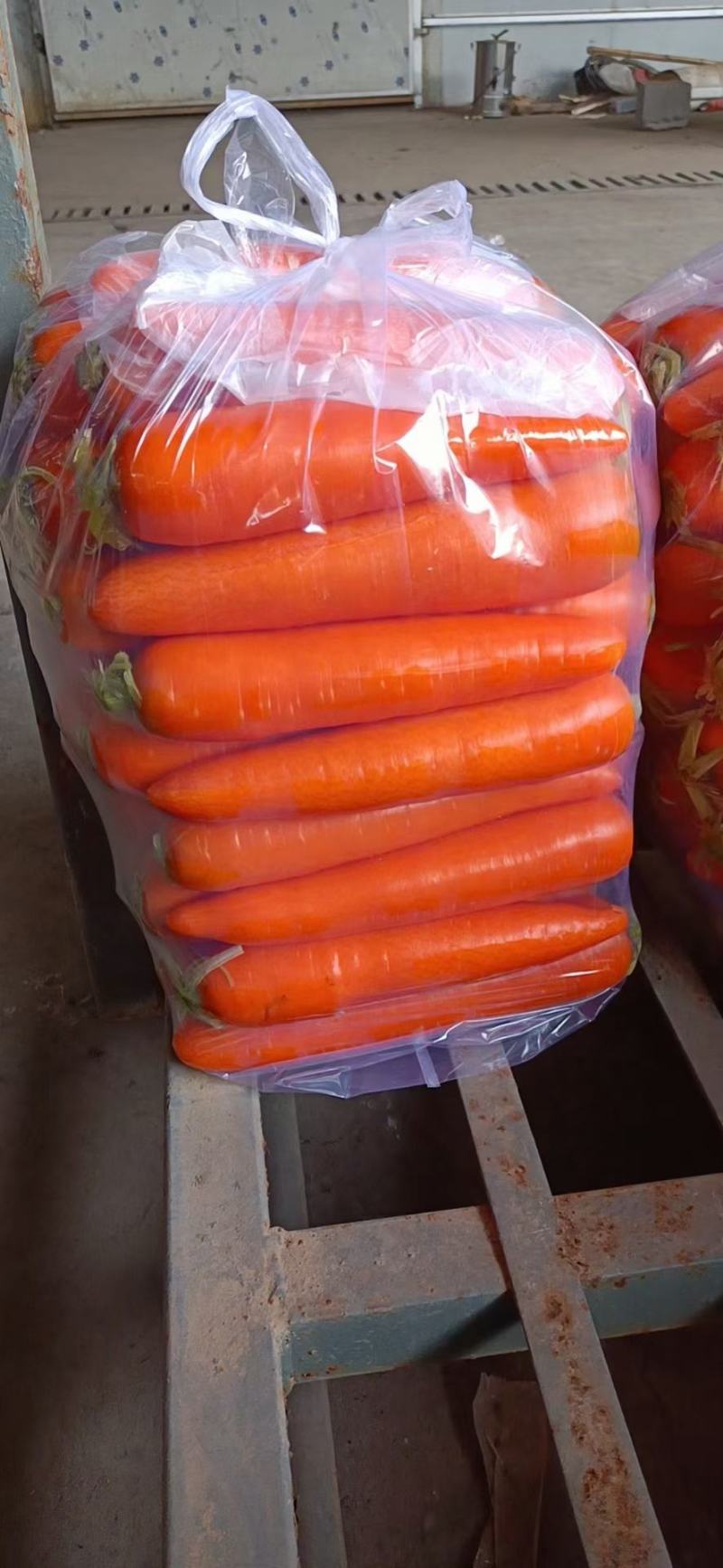 胡萝卜精品水洗胡萝卜土萝卜各种规格包装都支持加工厂养殖场